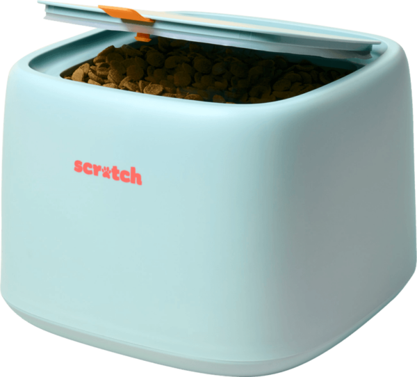 Order Scratch Dogmother